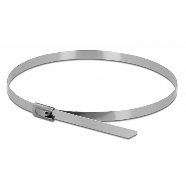 DELOCK μεταλλικός σφιγκτήρας καλωδίων 18770, 500x4.6mm, 10τμχ - DeLock