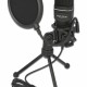 DELOCK Mικρόφωνο studio με pop φίλτρο & αντιανέμιο 66331, πυκνωτικό, USB