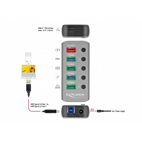 DELOCK USB hub 63263 με διακόπτες, 6x θυρών, 5Gbps, 12V/2.25A PD, γκρι - DeLock
