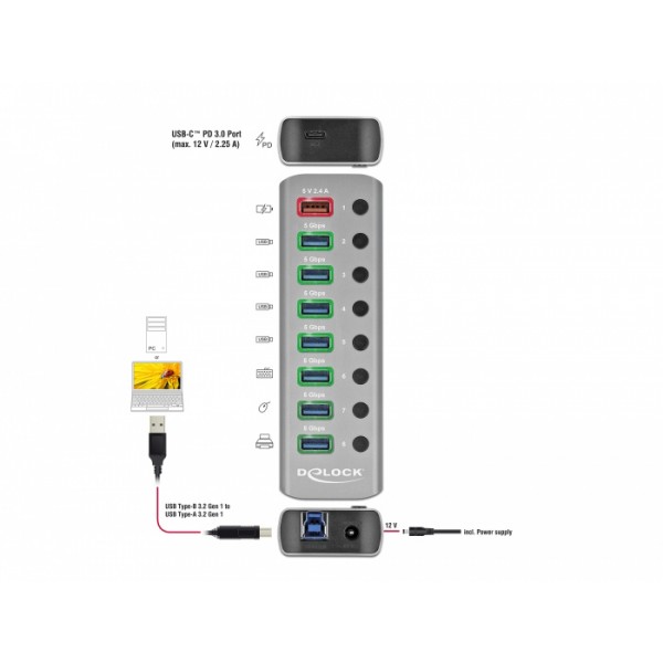 DELOCK USB hub 63264 με διακόπτες, 9x θυρών, 5Gbps, 12V/2.25A PD, γκρι - DeLock