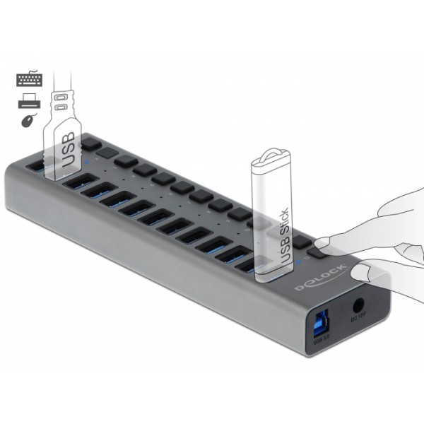 DELOCK USB hub 63738 με διακόπτες, 13x θυρών, 5Gbps, γκρι - DeLock