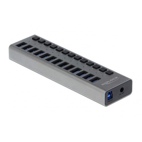 DELOCK USB hub 63738 με διακόπτες, 13x θυρών, 5Gbps, γκρι - DeLock