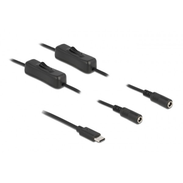 DELOCK καλώδιο USB Type-C σε 2x DC 5.5 x 2.1mm 86800, 1m, μαύρο - Σύγκριση Προϊόντων