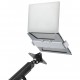 BRATECK βάση laptop NBH-6E για βάση οθονών, VESA 75x75, 11.6-17.3", γκρι
