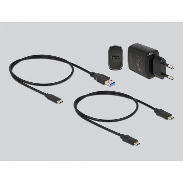 DELOCK docking station για M.2 SATA SSD 64178, 2 θέσεων, 6Gbps, clone function, μαύρο