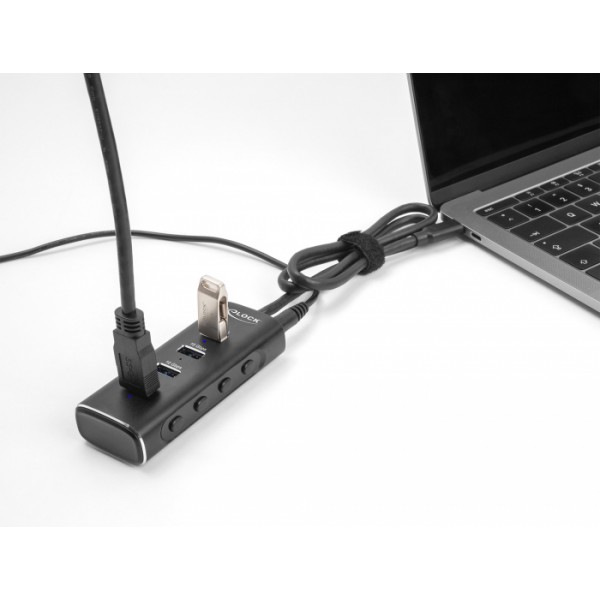 DELOCK USB hub 64233 με διακόπτες, 4 θυρών, 10Gbps, USB-C σύνδεση, μαύρο - Συνοδευτικά PC