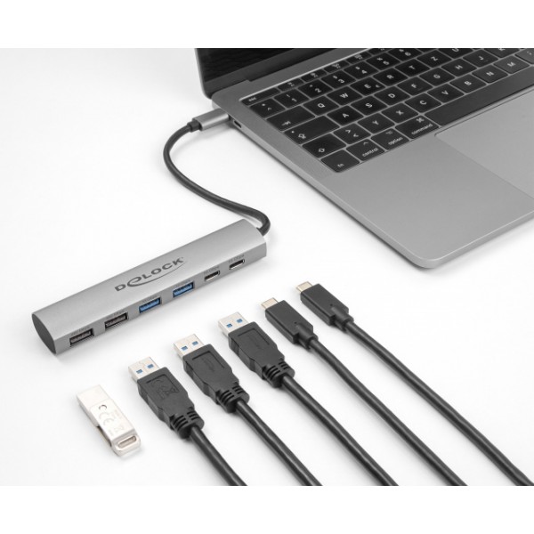 DELOCK USB-C hub 64232, 4x USB/2x USB-C θύρες, 10Gbps, γκρι - USB Hubs - Card Readers