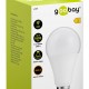 GOOBAY LED λάμπα bulb 65389, E27, 15W, 3000K, 1800lm