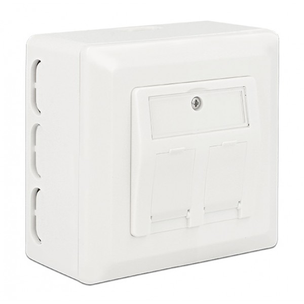 DELOCK οπίσθιο κουτί για Keystone πρίζα τοίχου 86128, λευκό - DeLock