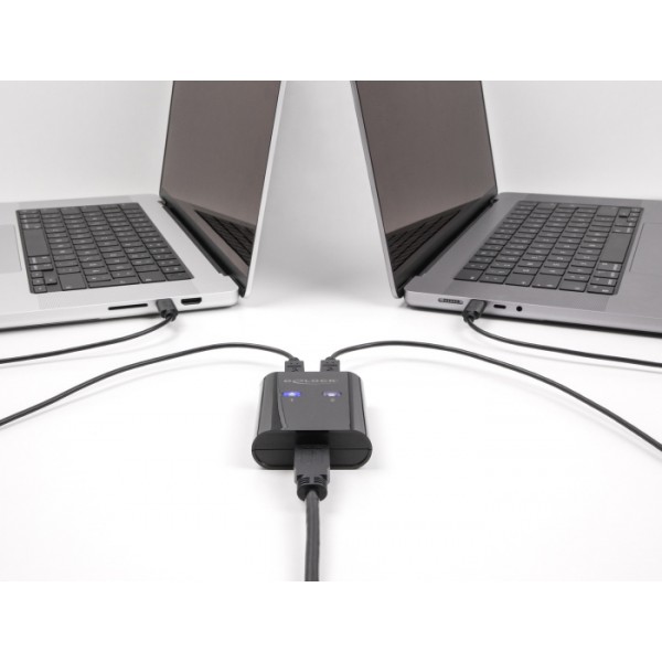 DELOCK USB Type B switch 11503, 2 σε 1, μαύρο - KVM - Μετατροπείς
