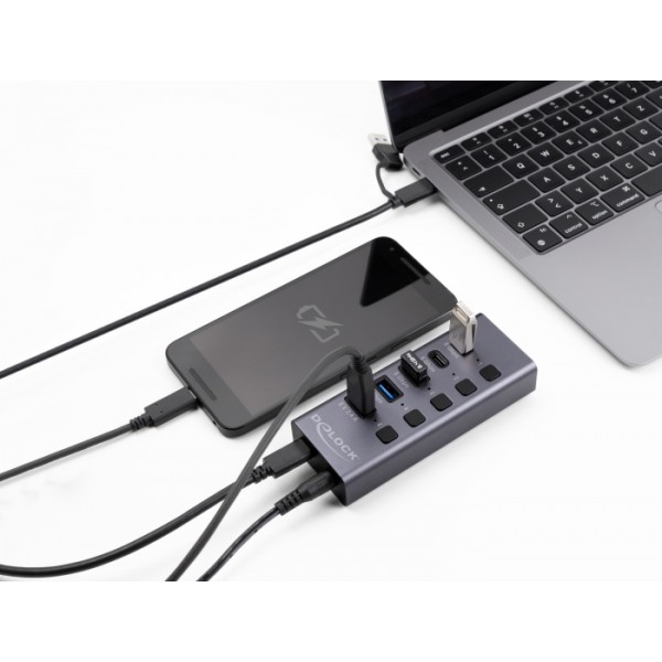 DELOCK USB hub 64248 με διακόπτες, 5x θυρών, 5Gbps, USB/USB-C σύνδεση, γκρι - USB Hubs - Card Readers