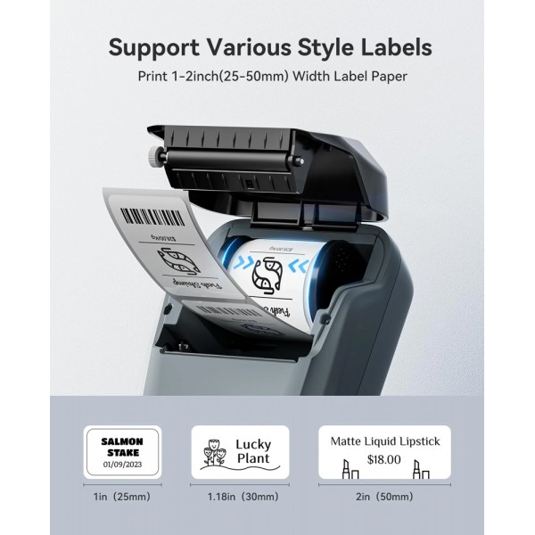 NIIMBOT smart θερμικός εκτυπωτής ετικετών B1, 203dpi, Bluetooth, μπλε - NIIMBOT