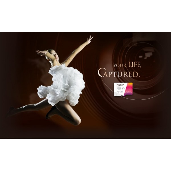 SILICON POWER κάρτα μνήμης microSDXC Elite, 32GB, C10 UHS-I U1 A1 V10 - Κάρτες Μνήμης