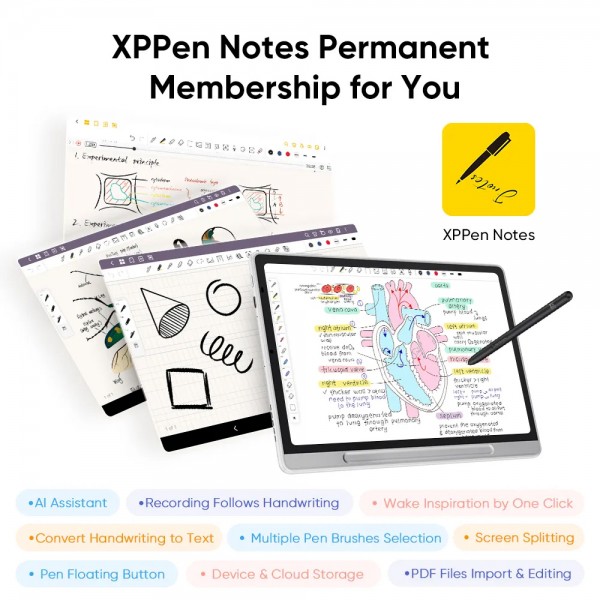 XP-PEN έγχρωμο ψηφιακό σημειωματάριο Magic Note Pad με γραφίδα, 10.95", 6/128GB, Android 14, 8000mAh, λευκό