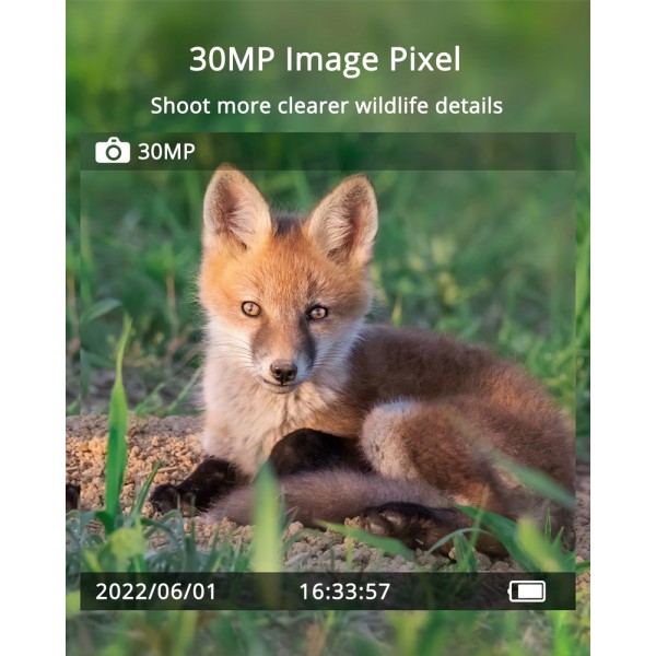 SUNTEK smart ηλιακή κάμερα κυνηγού Mini 900 Pro, PIR, 4G, 30MP/2K, SD, IP65