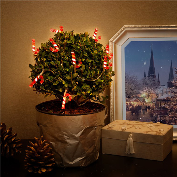 GOOBAY LED λαμπάκια με candy canes 58117, 3000K, 1.2m, 5lm, 10 LEDs