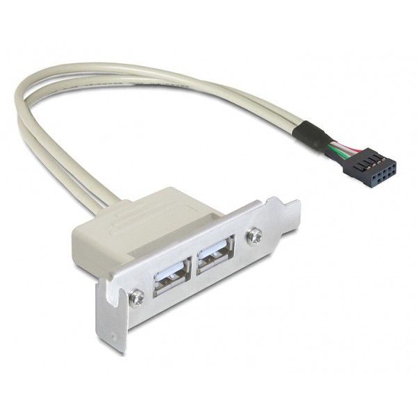 DELOCK κάρτα επέκτασης USB 9 pin σε 2x USB 2.0 83119, low profile - Κάρτες Επέκτασης PCI κ.α