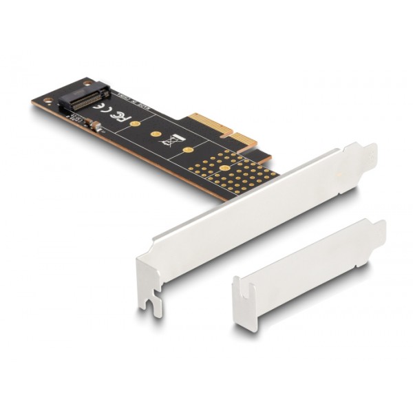 DELOCK κάρτα επέκτασης PCIe x4 σε M.2 M Key 110mm 89836, NVMe - Κάρτες Επέκτασης PCI κ.α