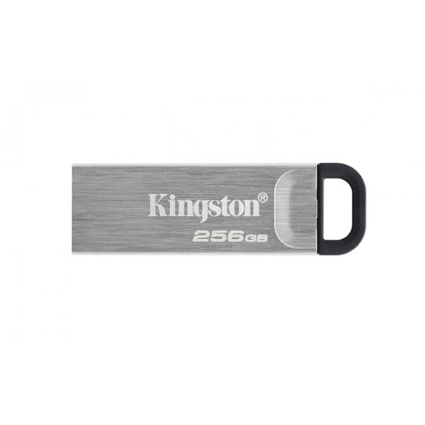KINGSTON USB Stick Data Traveler DTKN/256GB,USB 3.2, Silver - KINGSTON