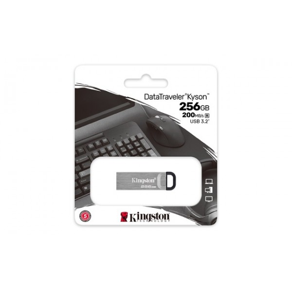 KINGSTON USB Stick Data Traveler DTKN/256GB,USB 3.2, Silver