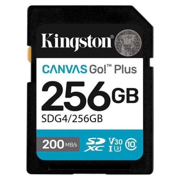 KINGSTON Memory Card SD Canvas Go Plus SDG4/256GB Class 10 - KINGSTON