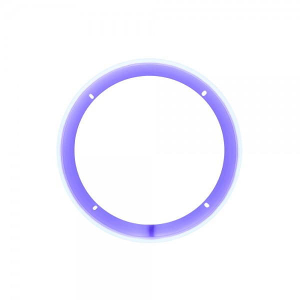 Δακτύλιος Φωτισμού Ηχείου - DD Audio LED RGB Light Ring 8″ |  |  |