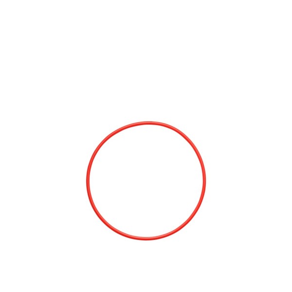 Olympus POL-058 O-ring for PT-058 / PT-059 - Photo Accessories