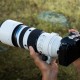 Olympus OM System M.Zuiko Digital ED 50-200mm F2.8 IS PRO incl. Lens hood and Lens case