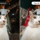 Insta360 Ace Pro 2 Close-Up Lens - Adjust the focal length from 10cm to 75cm